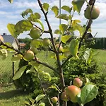 Zacisze Rostken, Wypoczynek Na Mazurach, Dom Caloroczny Z Prywatna Plaza Nyaraló Ostrów