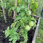Zacisze Rostken, Wypoczynek Na Mazurach, Dom Caloroczny Z Prywatna Plaza Nyaraló