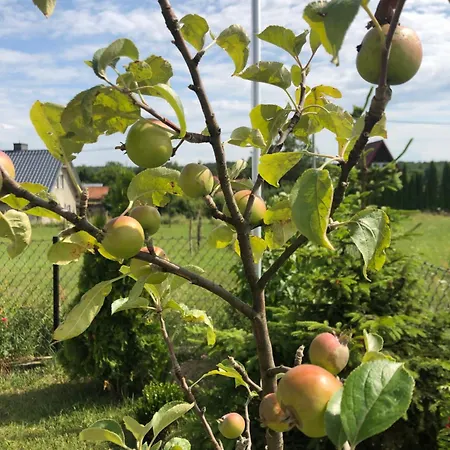 Zacisze Rostken, Wypoczynek Na Mazurach, Dom Caloroczny Z Prywatna Plaza Сasa de vacaciones Ostrow (Pisz)