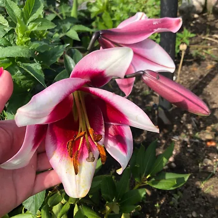 Сasa de vacaciones Zacisze Rostken, Wypoczynek Na Mazurach, Dom Caloroczny Z Prywatna Plaza Ostrow (Pisz)