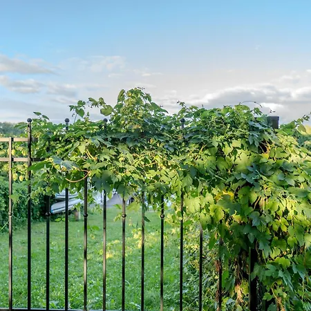 Zacisze Rostken, Wypoczynek Na Mazurach, Dom Caloroczny Z Prywatna Plaza * Ostrow (Pisz)